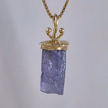 Tanzanite Natural Crystal 14KY Sprout Pendant by Lori Braun PT997