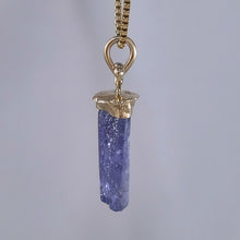 Tanzanite Natural Crystal 14KY Sprout Pendant by Lori Braun PT997