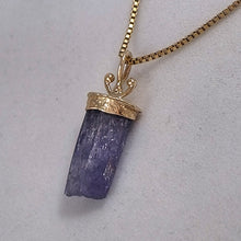 Tanzanite Natural Crystal 14KY Sprout Pendant by Lori Braun PT997