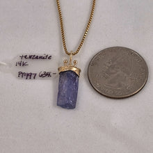 Tanzanite Natural Crystal 14KY Sprout Pendant by Lori Braun PT997