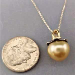 South Sea Golden Pearl Sterling 14ky Pendant by Lori Braun
